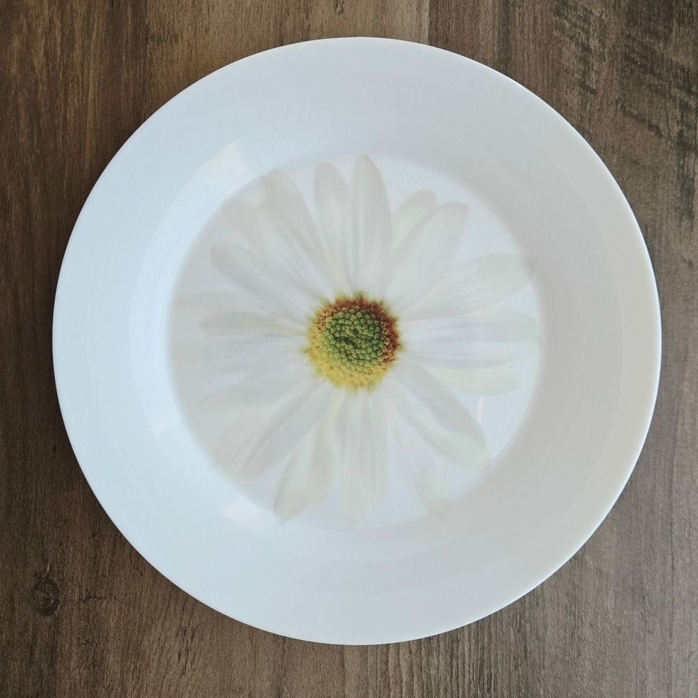 Isaac Mizrahi For Target White Daisy Plate Microwave Dishwasher Safe China